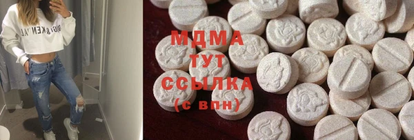 индика Алексин