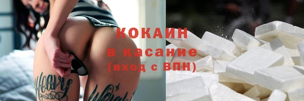 твердый Абаза