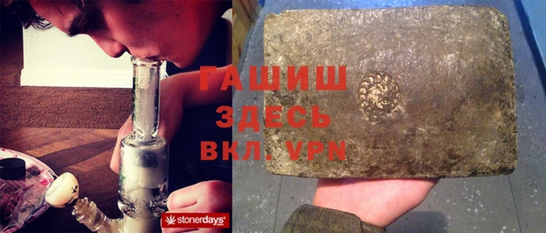 индика Алексин