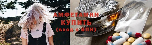 твердый Абаза